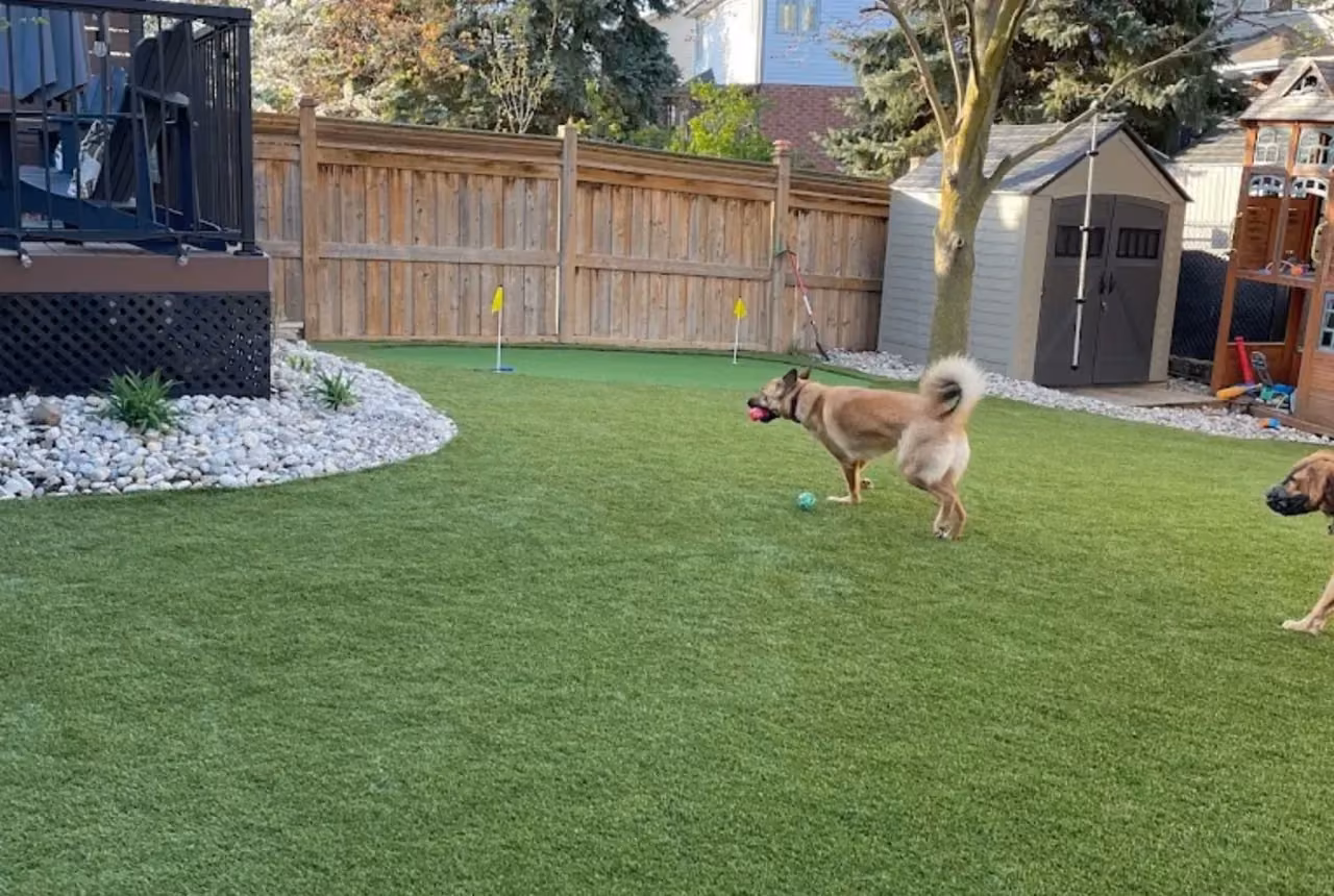 Backyard turf with landscaping